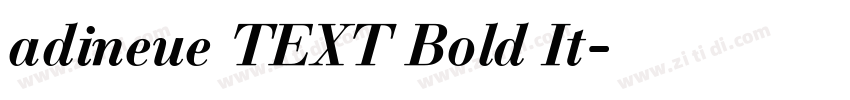 adineue TEXT Bold It字体转换